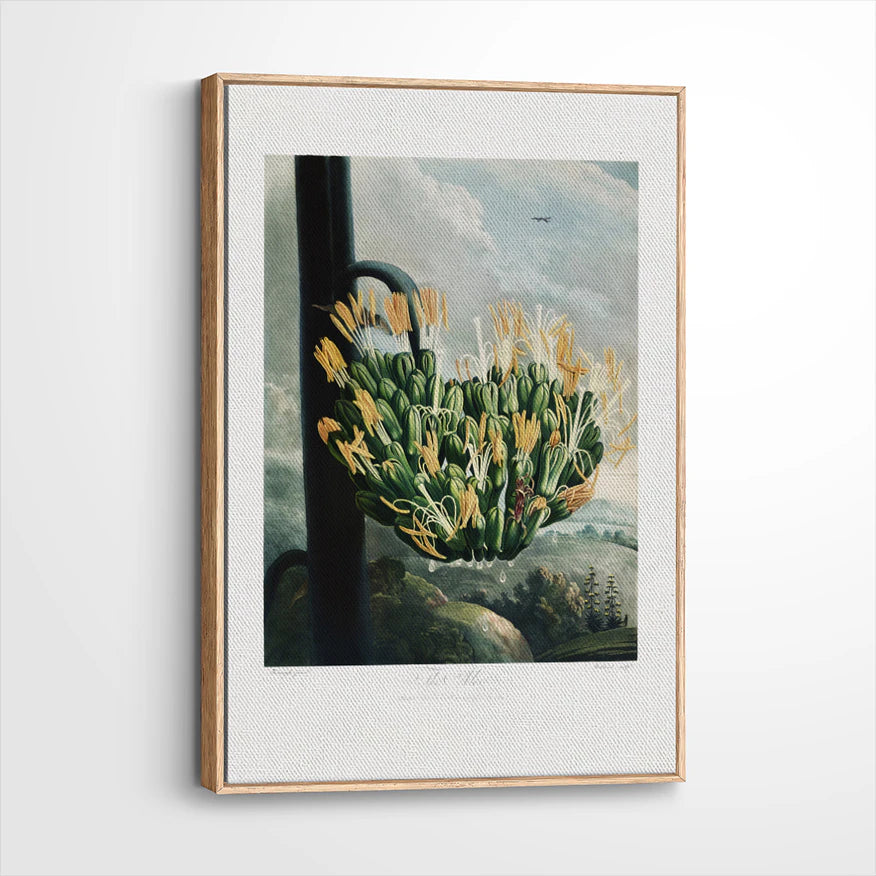 framed-canvas-natural-wood