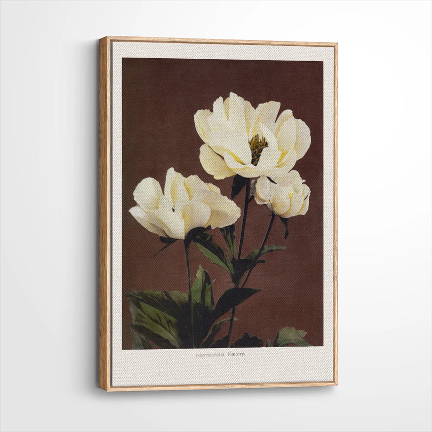 framed-canvas-natural-wood