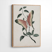 framed-canvas-natural-wood