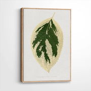 framed-canvas-natural-wood