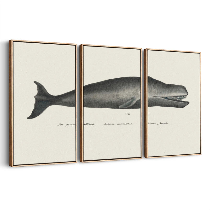 3-framed-print-natural-wood