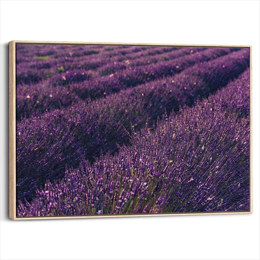 framed-canvas-natural-wood
