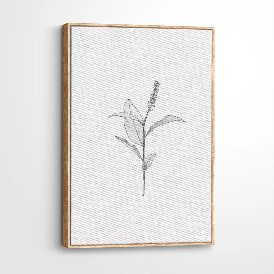 framed-canvas-natural-wood