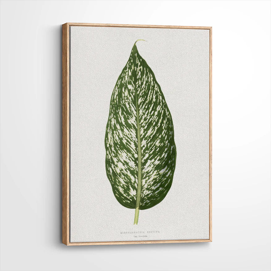 framed-canvas-natural-wood
