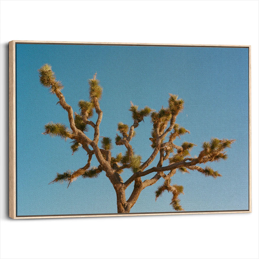 framed-canvas-natural-wood