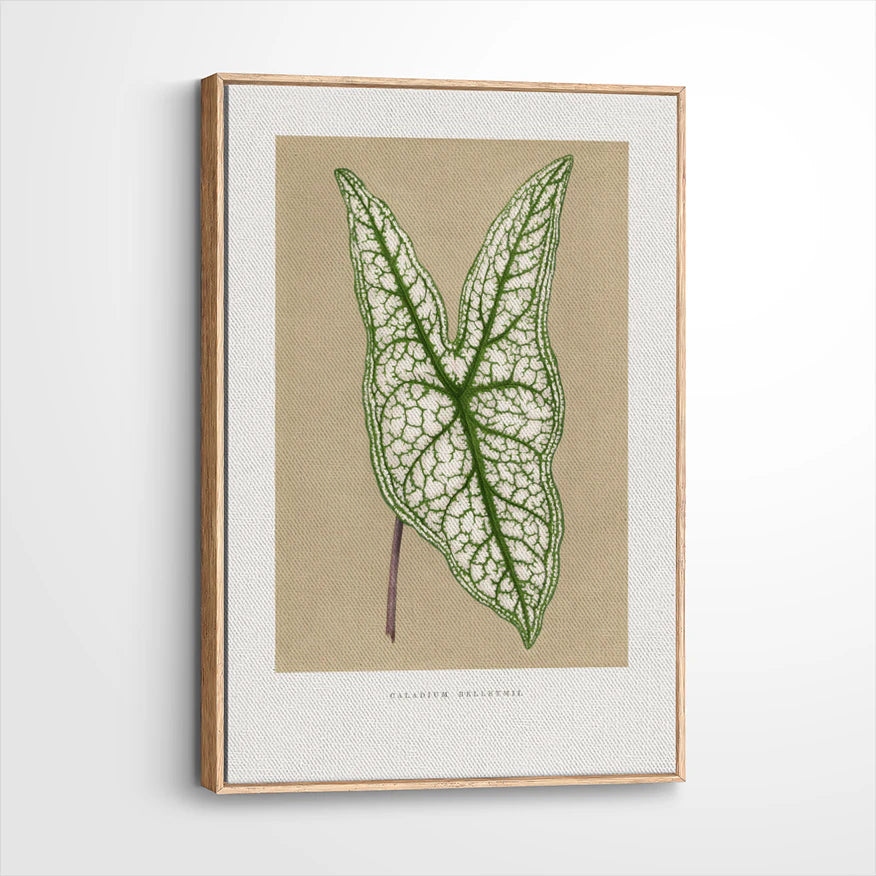 framed-canvas-natural-wood