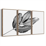 3-framed-canvas-natural-wood