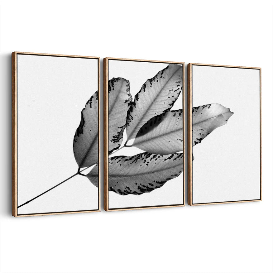 3-framed-canvas-natural-wood