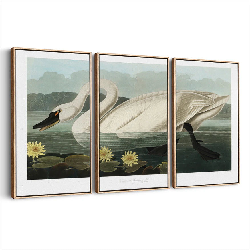 3-framed-canvas-natural-wood