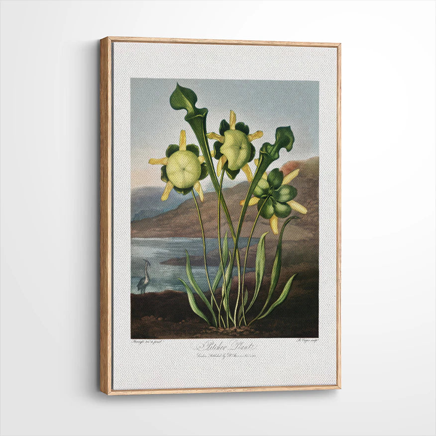framed-canvas-natural-wood