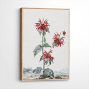 framed-canvas-natural-wood