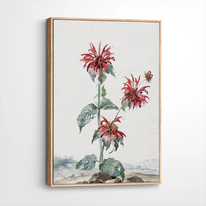 framed-canvas-natural-wood