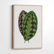 framed-canvas-natural-wood