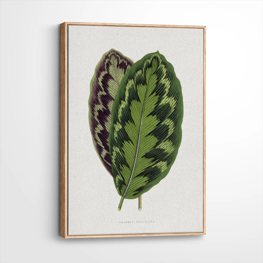 framed-canvas-natural-wood