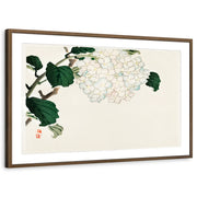 framed-print-brown-walnut-matted