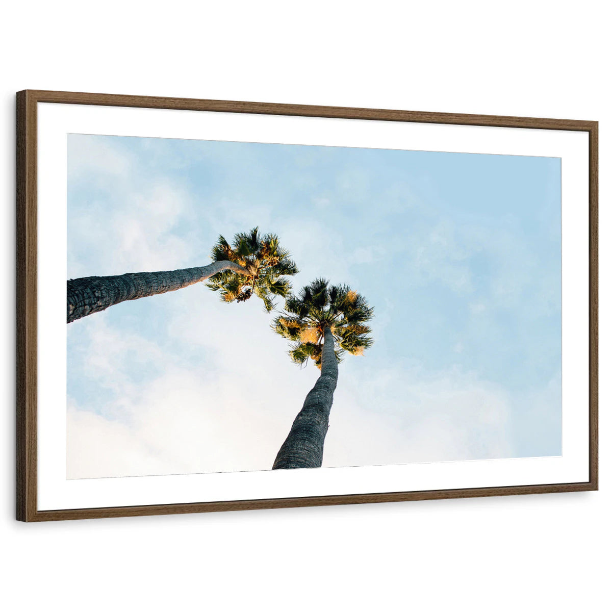 framed-print-brown-walnut-matted