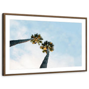 framed-print-brown-walnut-matted