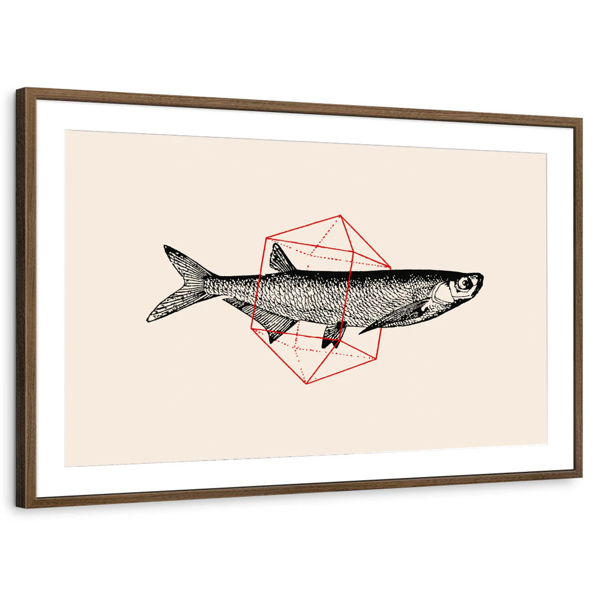 framed-print-brown-walnut-matted