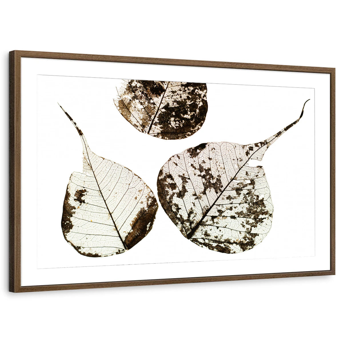 framed-print-brown-walnut-matted