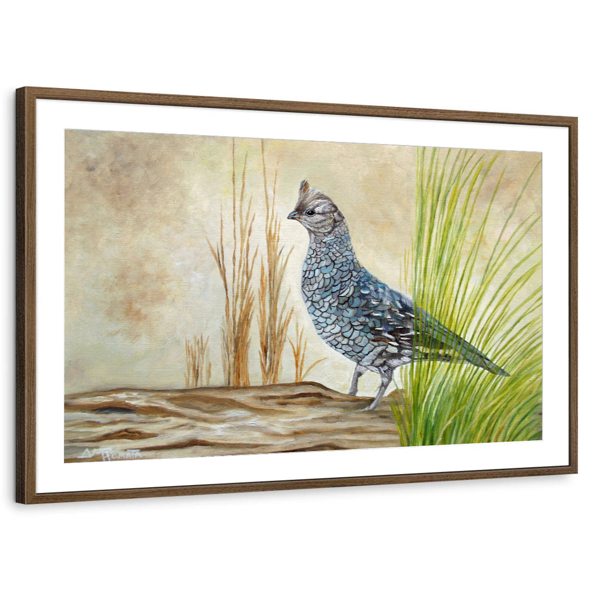 framed-print-brown-walnut-matted