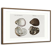 framed-print-brown-walnut-matted