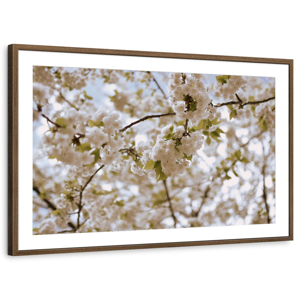framed-print-brown-walnut-matted
