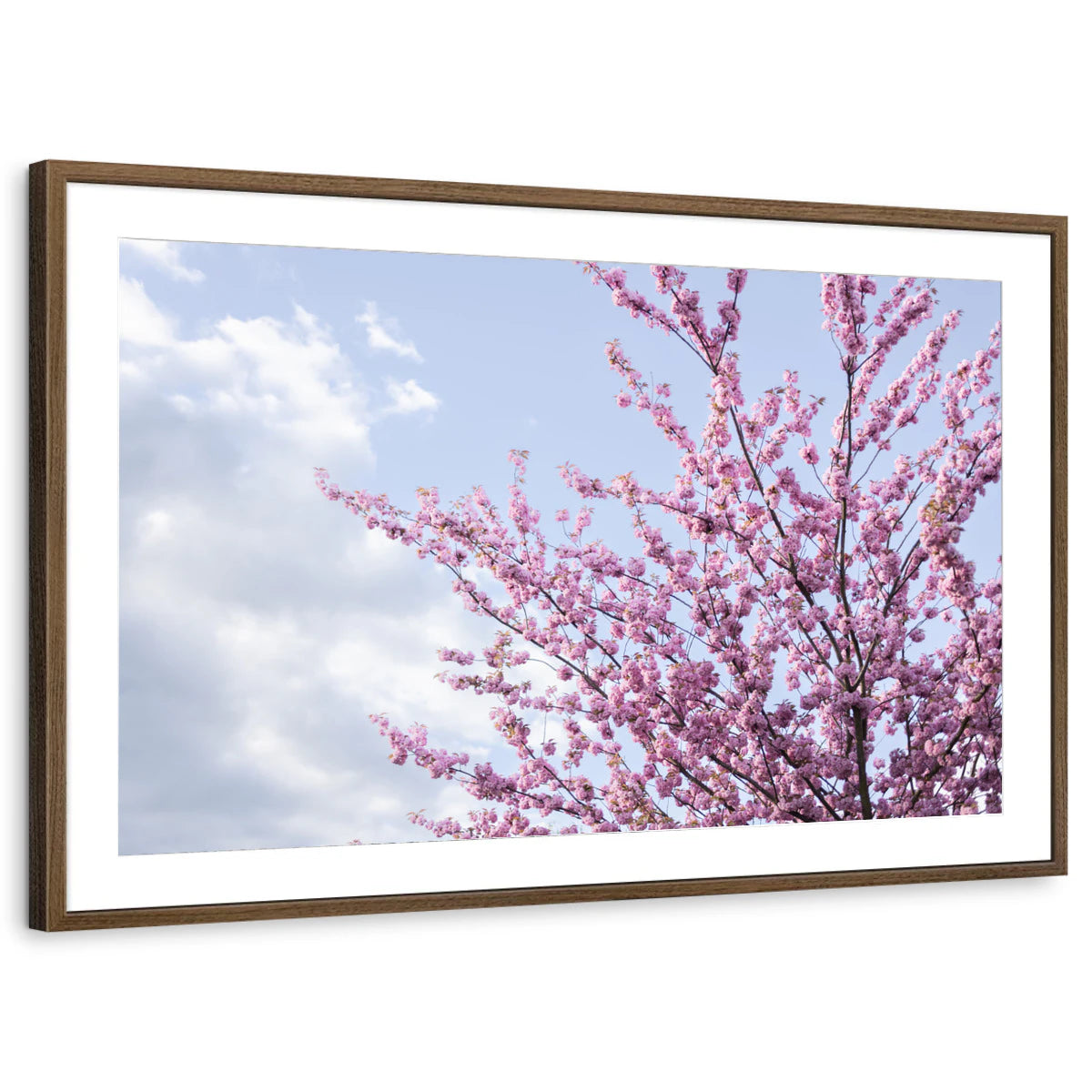 framed-print-brown-walnut-matted