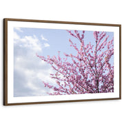 framed-print-brown-walnut-matted