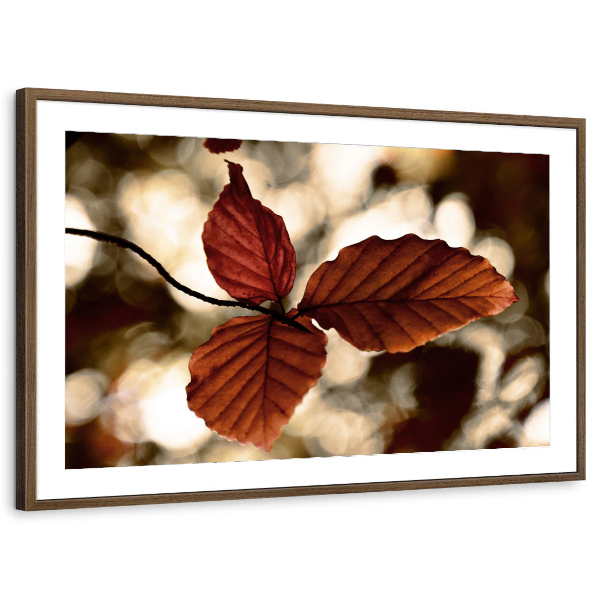 framed-print-brown-walnut-matted