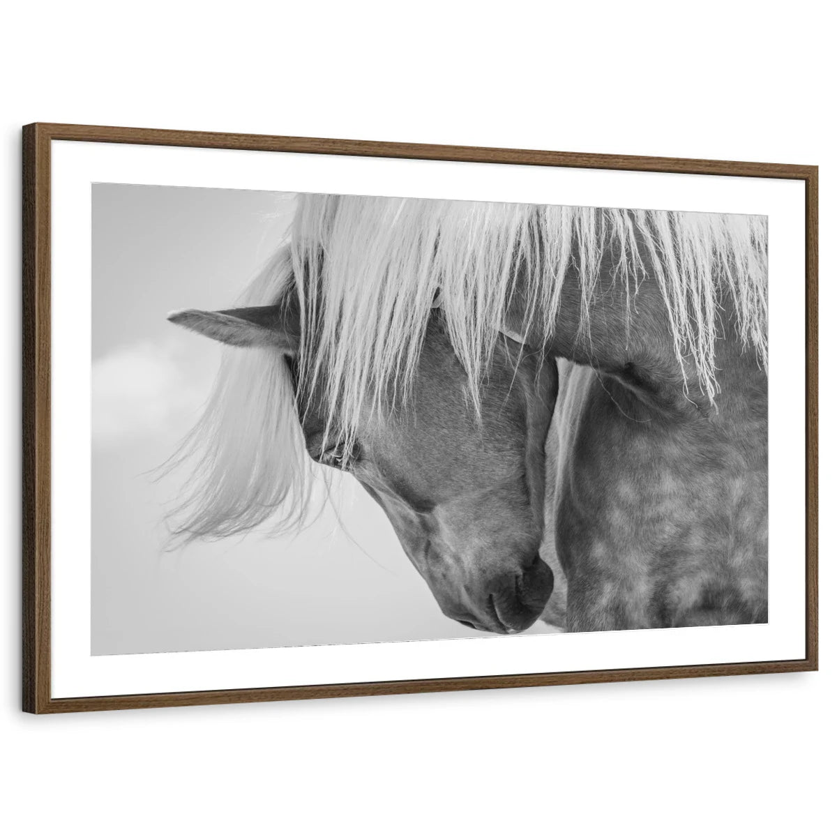 framed-print-brown-walnut-matted