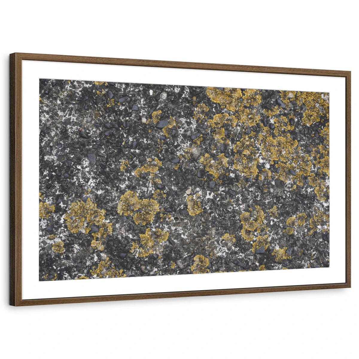 framed-print-brown-walnut-matted