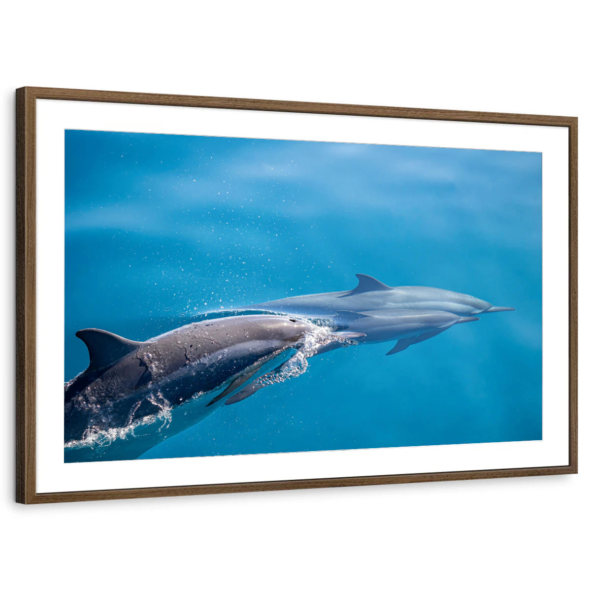 framed-print-brown-walnut-matted
