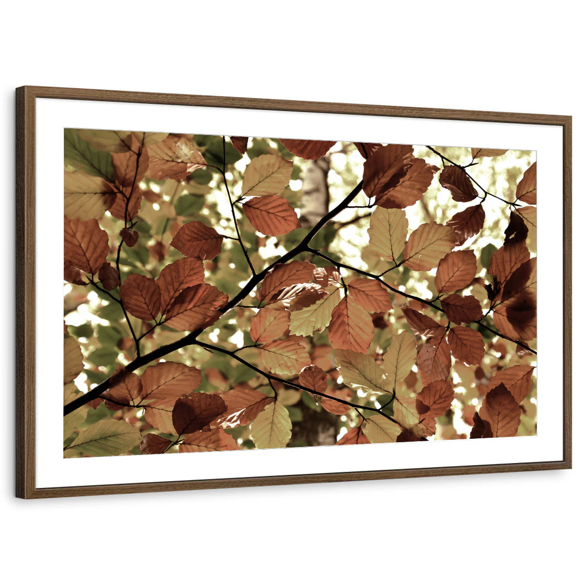 framed-print-brown-walnut-matted