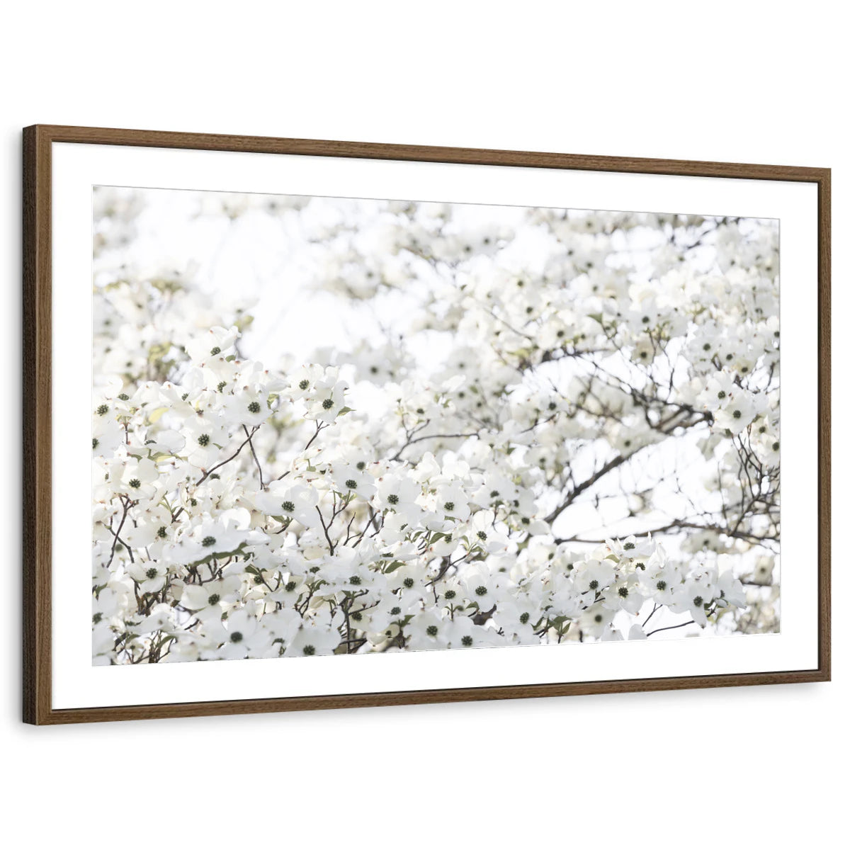 framed-print-brown-walnut-matted