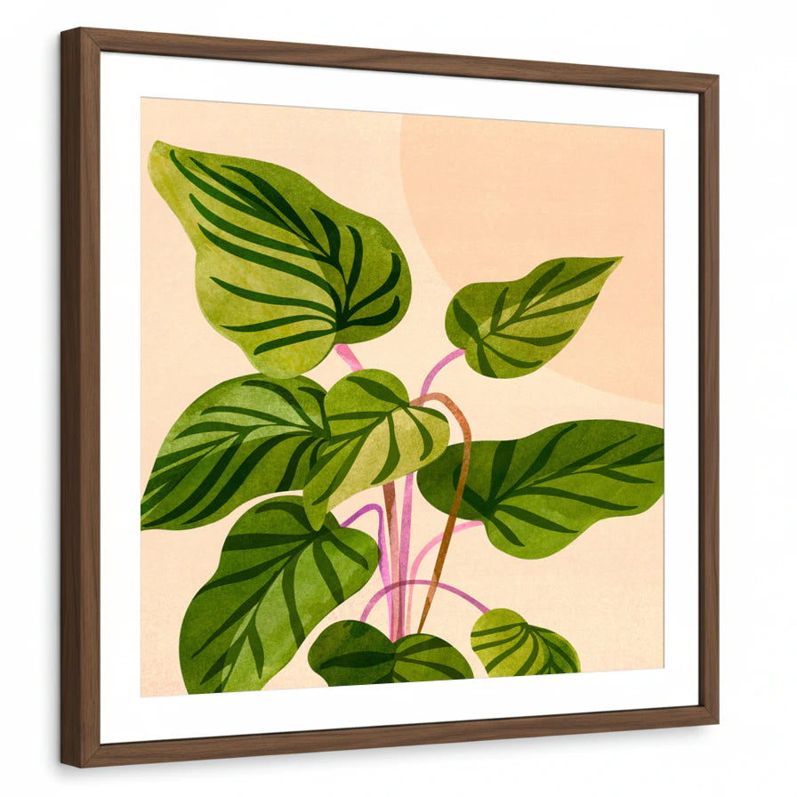 framed-print-brown-walnut-white-border