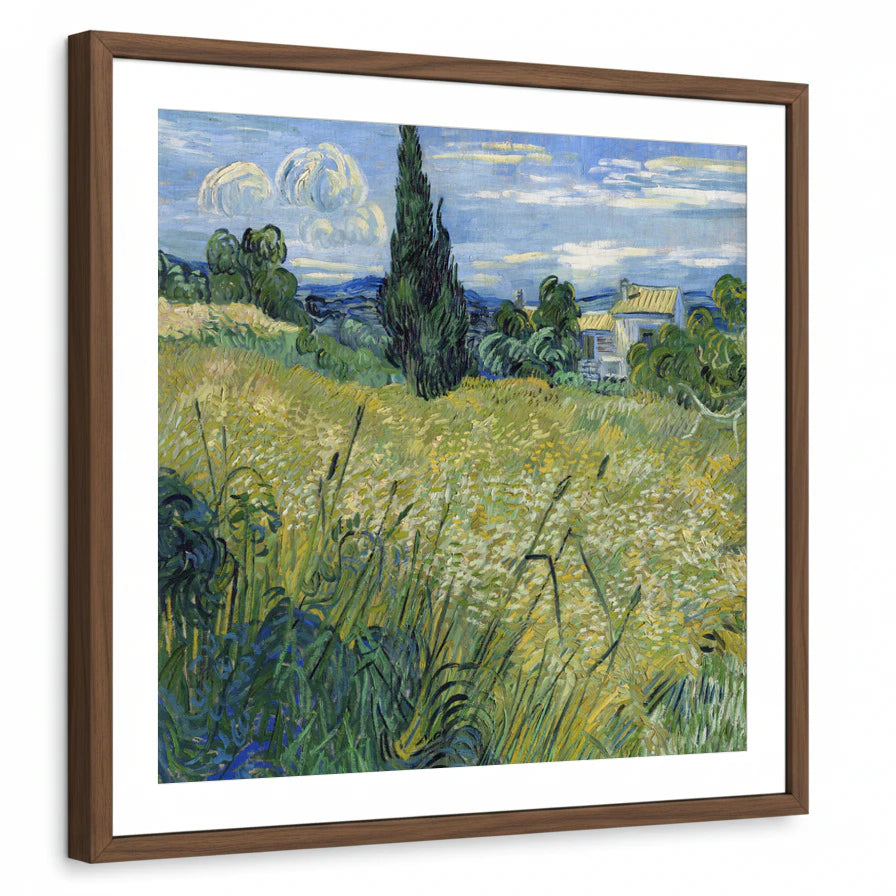 framed-print-brown-walnut-white-border