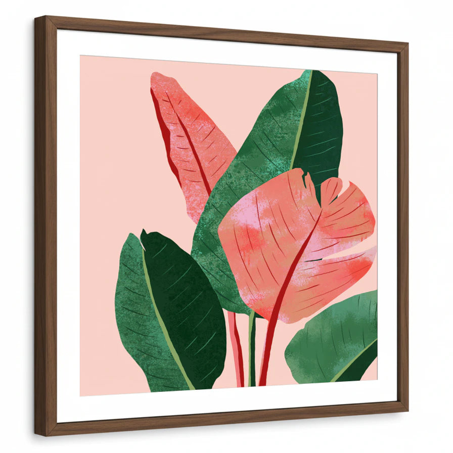 framed-print-brown-walnut-white-border