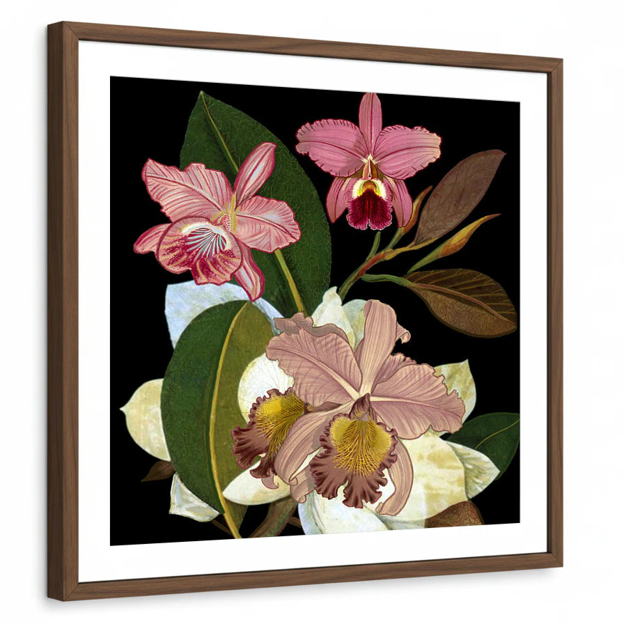 framed-print-brown-walnut-white-border