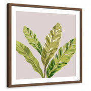 framed-print-brown-walnut-white-border