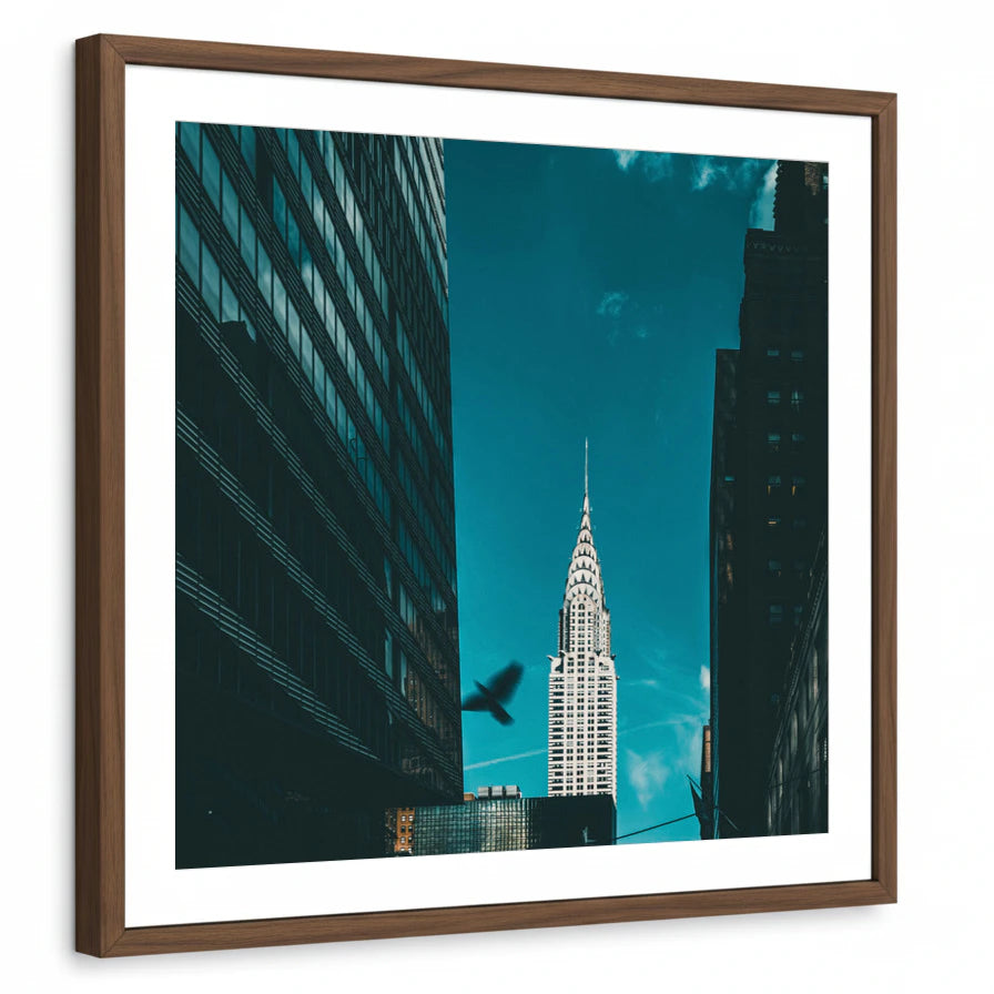 framed-print-brown-walnut-white-border