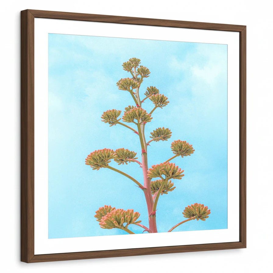framed-print-brown-walnut-white-border