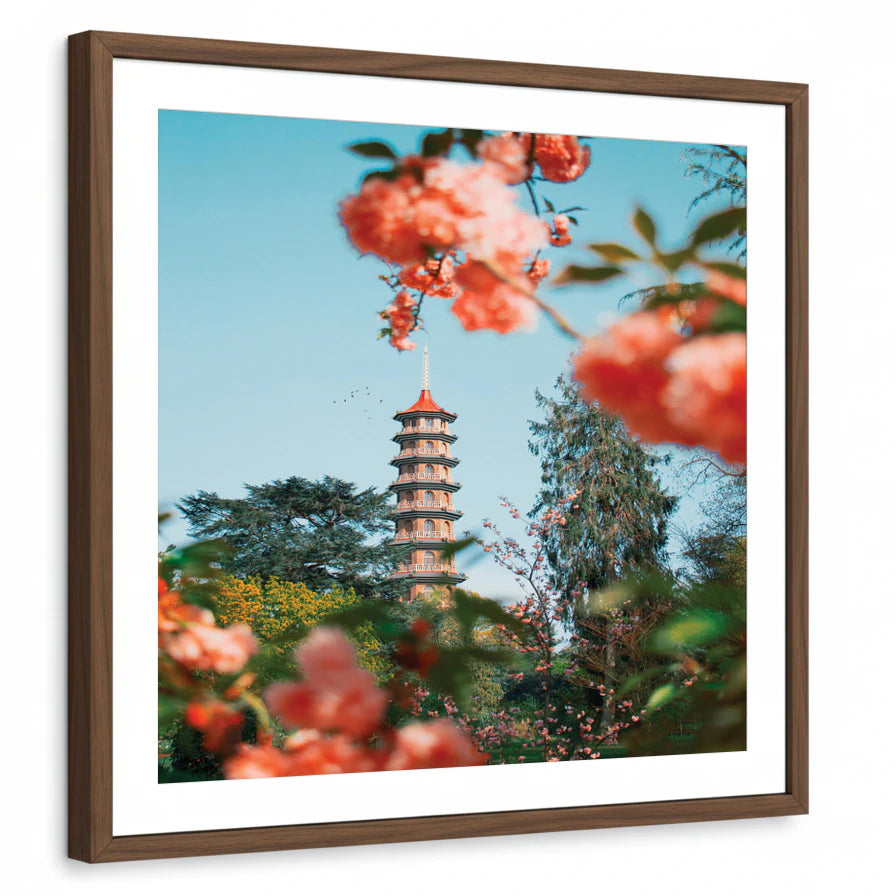 framed-print-brown-walnut-white-border