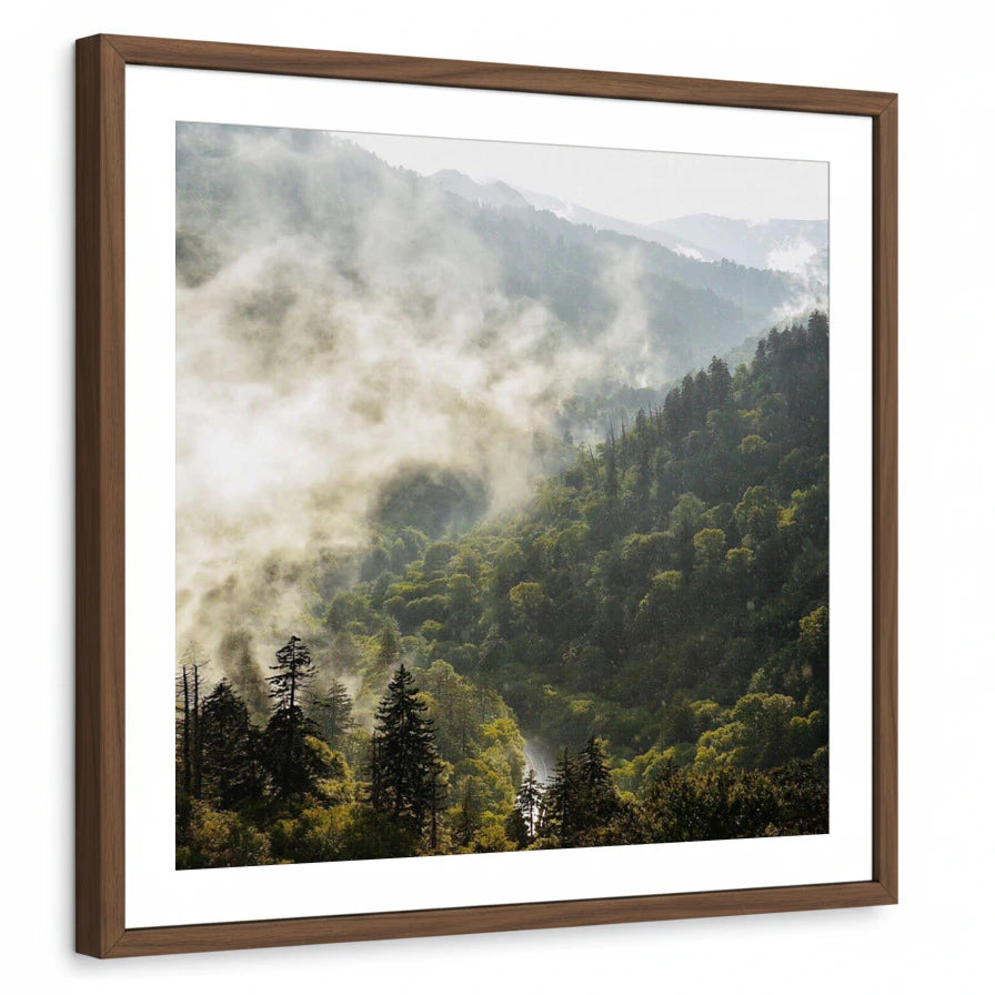 framed-print-brown-walnut-white-border
