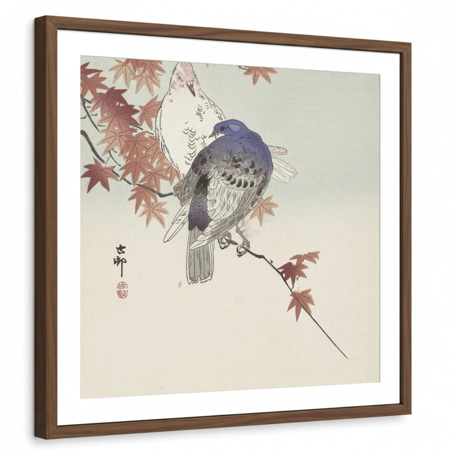 framed-print-brown-walnut-white-border