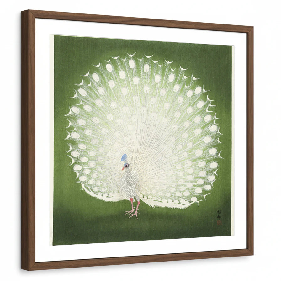 framed-print-brown-walnut-white-border