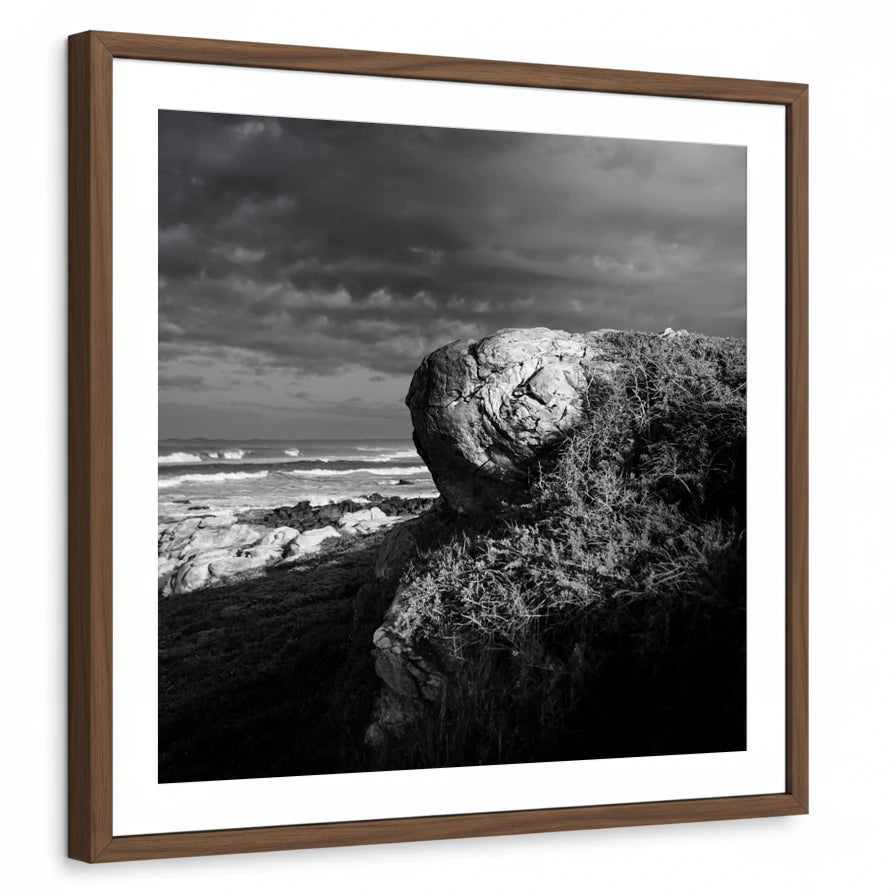 framed-print-brown-walnut-white-border