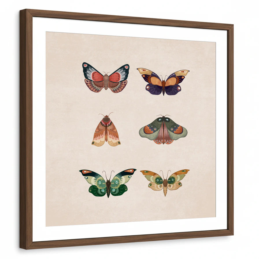 framed-print-brown-walnut-white-border