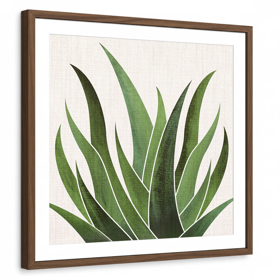 framed-print-brown-walnut-white-border