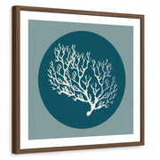 framed-print-brown-walnut-white-border