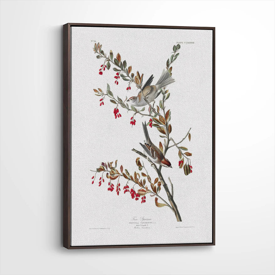 framed-canvas-dark-walnut